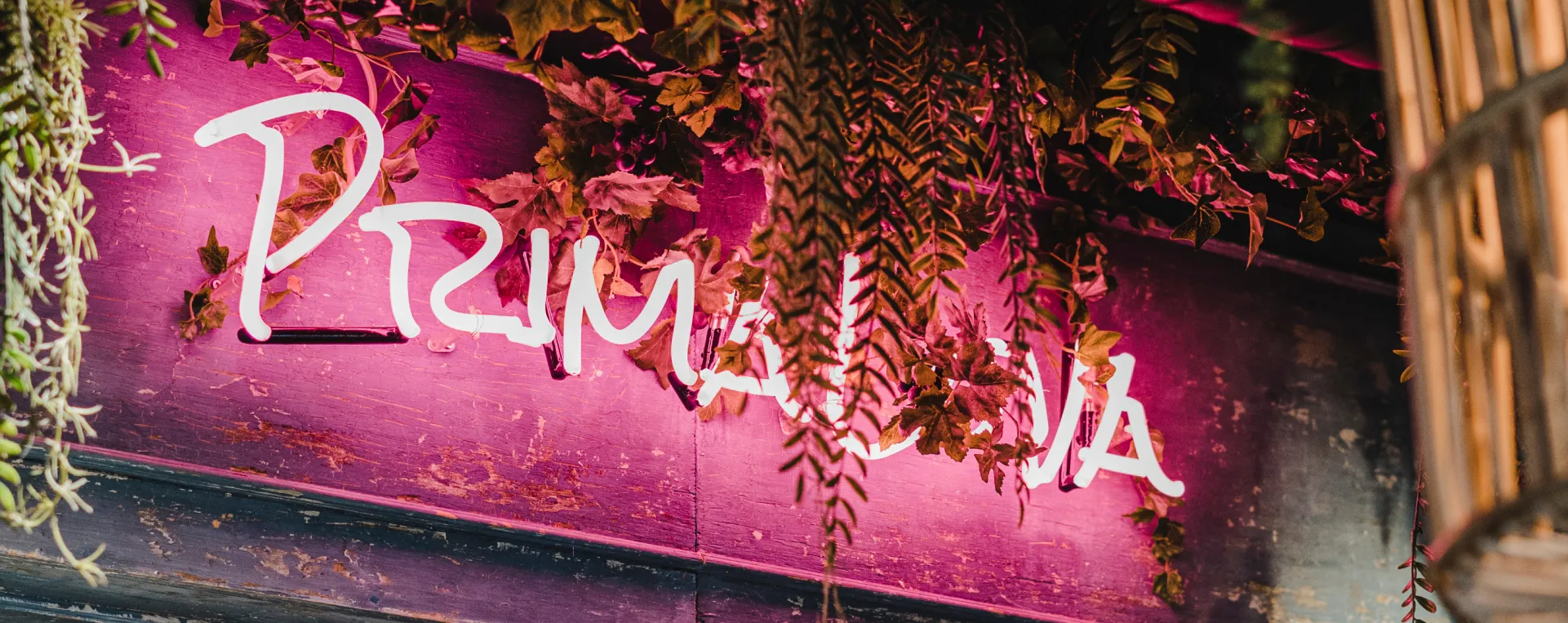 Close-Up du néon au nom de l'établissement